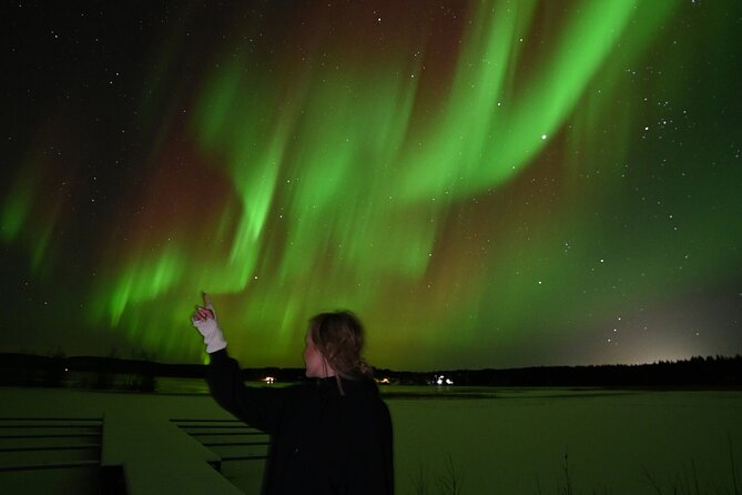 Rovaniemi: Guaranteed Northern Lights - Small Group & Photography - Warm Drinks, Cookies, and the Cold You Still Have to Manage