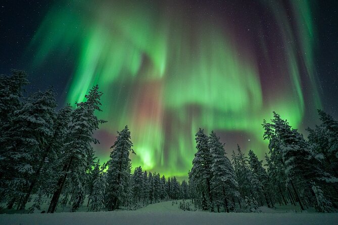 Rovaniemi Northern Lights Hunt With A Professional Photographer - Timing and waiting: why the 4–10 hours is part of the deal