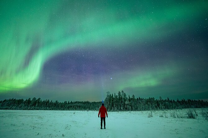 Rovaniemi Northern Lights Hunt With A Professional Photographer - Price and value: is $216.86 worth it?