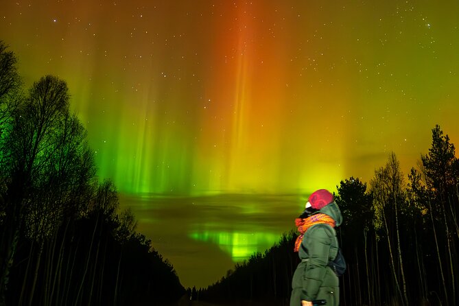 Rovaniemi: Northern Lights Hunting and Photography Tour - Key points before you go