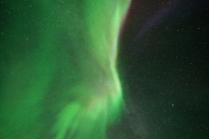 Rovaniemi: Northern Lights Hunting and Photography Tour - Where you start and finish: no wandering required