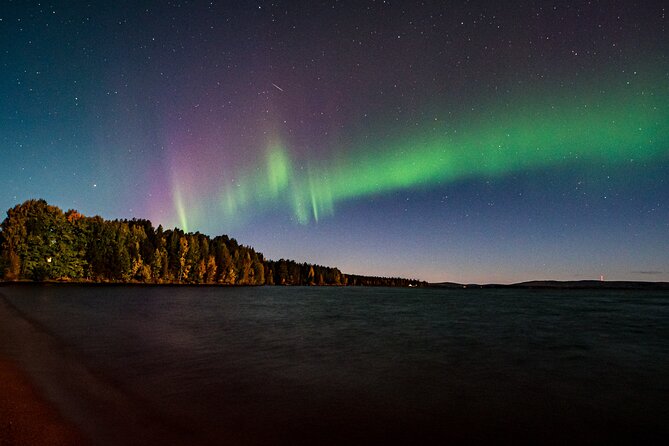 Rovaniemi: Northern Lights Hunting and Photography Tour - Price and value: what $144.57 gets you (and how to judge it)