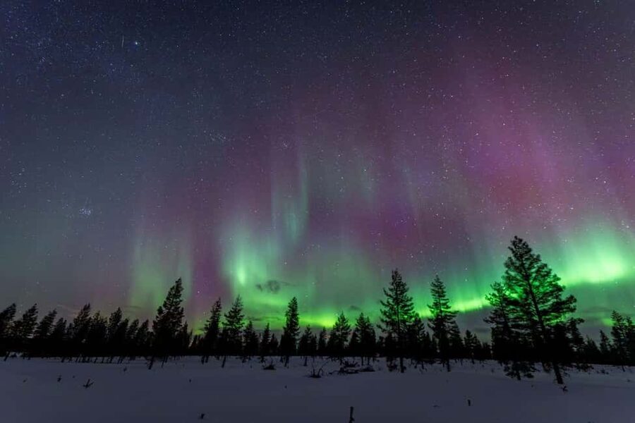Rovaniemi: Northern Lights Photo Tour | Money-Back Guarantee - Small details that matter more than you think