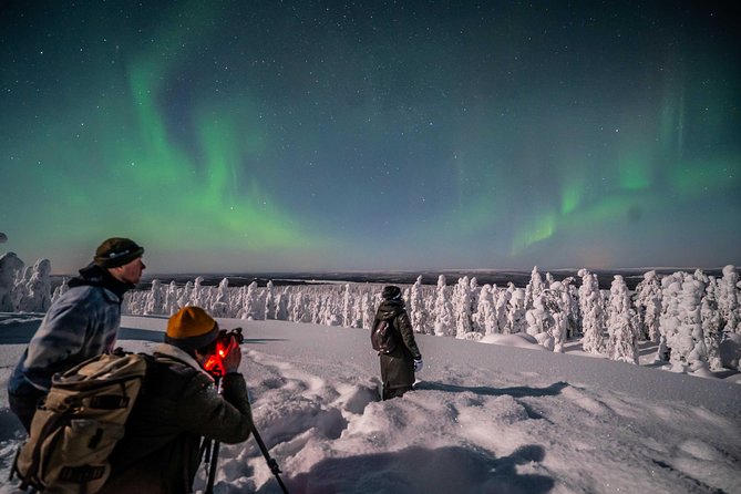 Rovaniemi Northern Lights Photography Small-Group Tour - When you get your pictures: coaching plus edited results