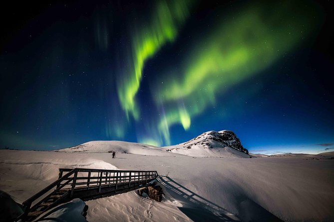 Rovaniemi Northern Lights Photography Small-Group Tour - Duration and what the timeline feels like in real life