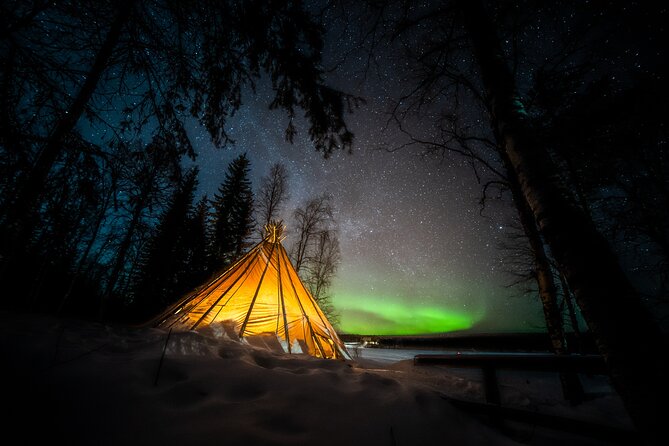 Rovaniemi Northern Lights Photography Small-Group Tour - Price and value: what you’re actually paying for at $175+