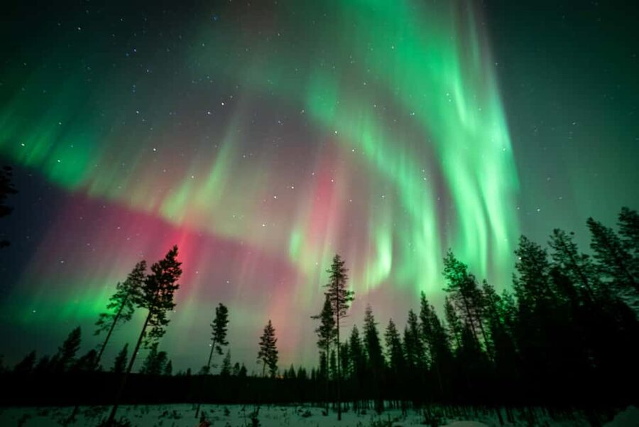Rovaniemi: Northern Lights Photography Tour & BBQ - FAQ