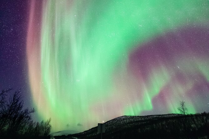 Rovaniemi: Northern Lights Pro Guaranteed - Unlimited (PRIVATE) - Northern Lights Pro Guaranteed: what you’re really paying for