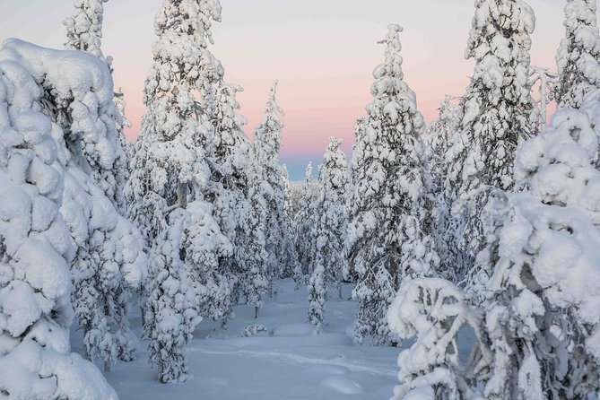 Rovaniemi photography tour - Stop 1: Lumberjack’s Candle Bridge for bridge-and-city framing