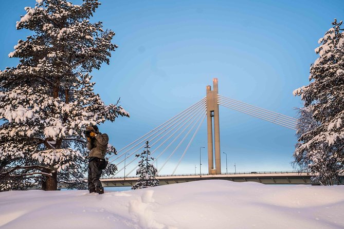 Rovaniemi photography tour - Stop 3: Ounasvaaran Lookout for winter nature shots close to town