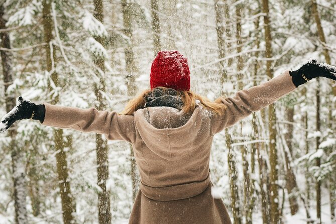 Rovaniemi: Private Winter Wonderland Photoshoot Tour - The 3-hour session: what you’re doing step by step