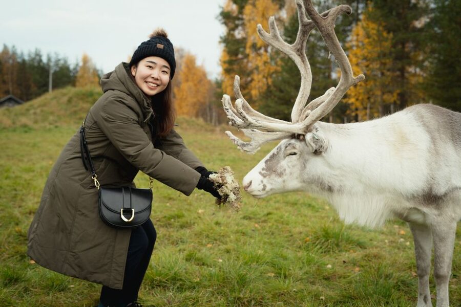 Rovaniemi: Reindeer Farm Visit with Photographer - Rovaniemi Reindeer Farm Visit in 3.5 Hours: What You Really Get