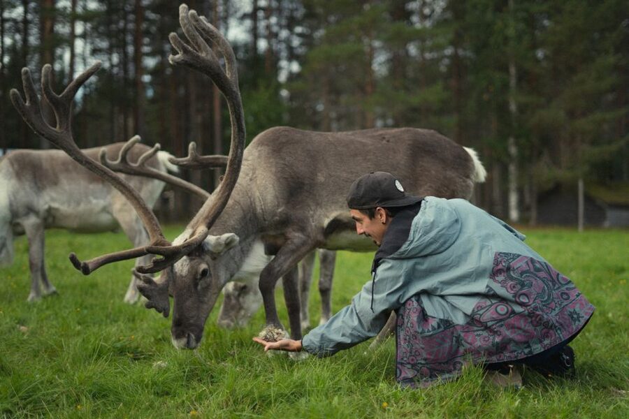 Rovaniemi: Reindeer Farm Visit with Photographer - Should You Book This Rovaniemi Reindeer Farm Photo Visit?