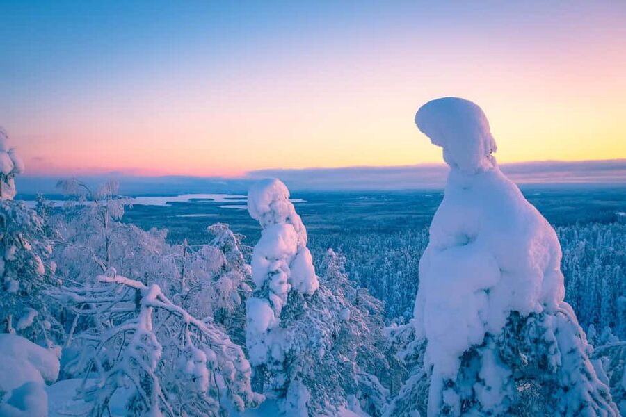 Rovaniemi: Riisitunturi Guided Hike with Photography and BBQ - Key points you should know