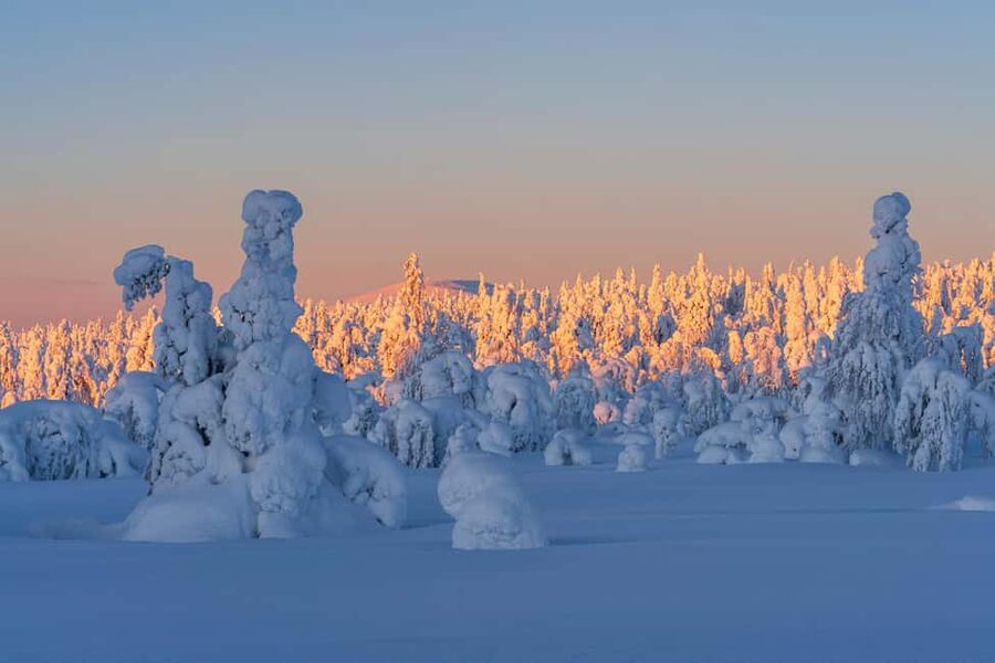 Rovaniemi: Riisitunturi Guided Hike with Photography and BBQ - Getting to Riisitunturi: the 2-hour drive that sets the tone