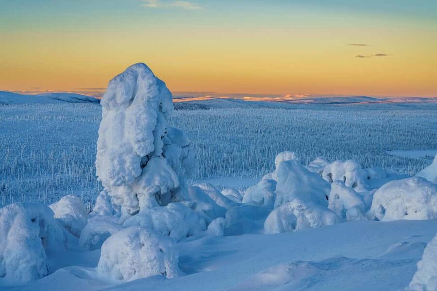 Rovaniemi: Riisitunturi Guided Hike with Photography and BBQ - The halfway break and BBQ: where the day turns from work to reward
