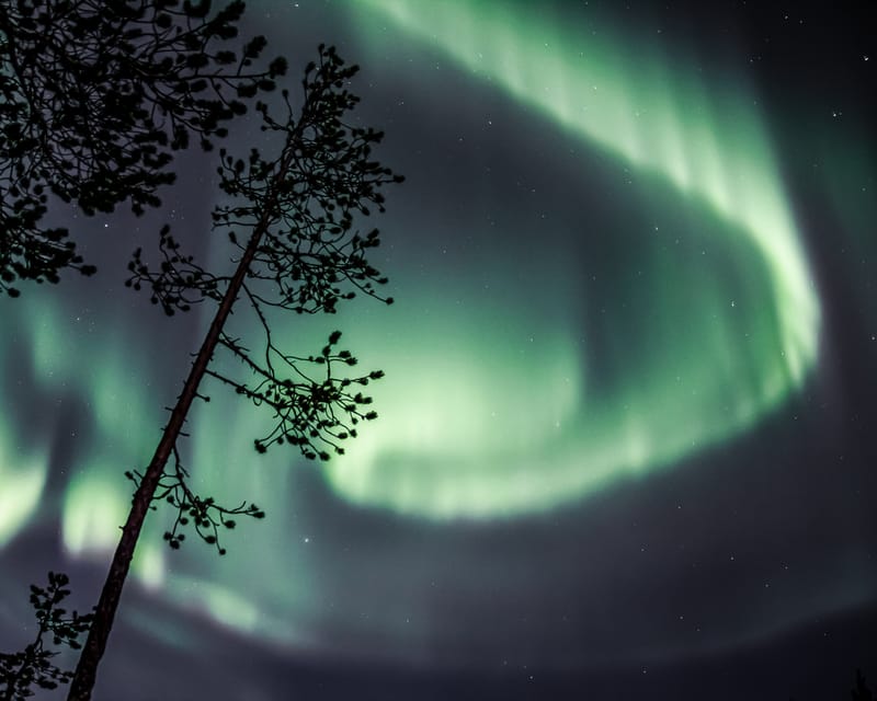 Saariselkä: Aurora Photo Tour by Car with Transfer & Drinks - The Waiting Game: Gingerbread Cookies and Hot Drinks
