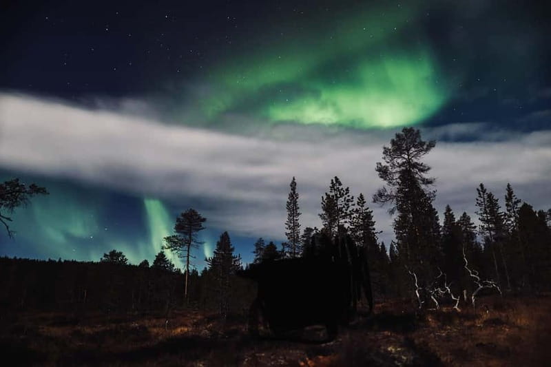 Saariselkä,Kakslauttanen: Aurora Hunting & Photography Tour. - Who this tour suits best (and who should reconsider)