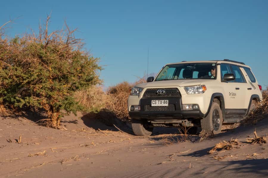 San Pedro de Atacama: Wildlife Safari and Photography Tour - Photography help that actually applies to your phone
