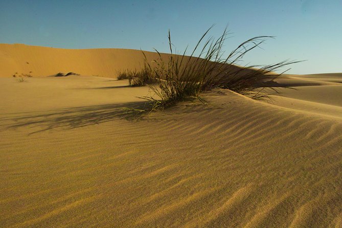 Sandwich Harbour Sunset Photography Tour - Price and Value: What $344.83 Buys You in Namibia