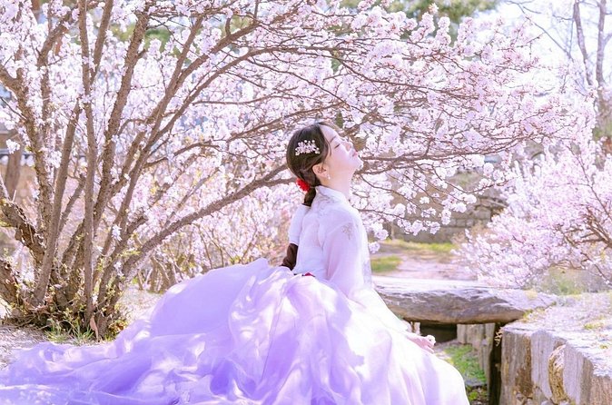 Seoul Premium Hanbok Rental at Arihanbok Photoshoot Included - Photographer Direction: Why Some Shoots Look Natural (And Others Don’t)