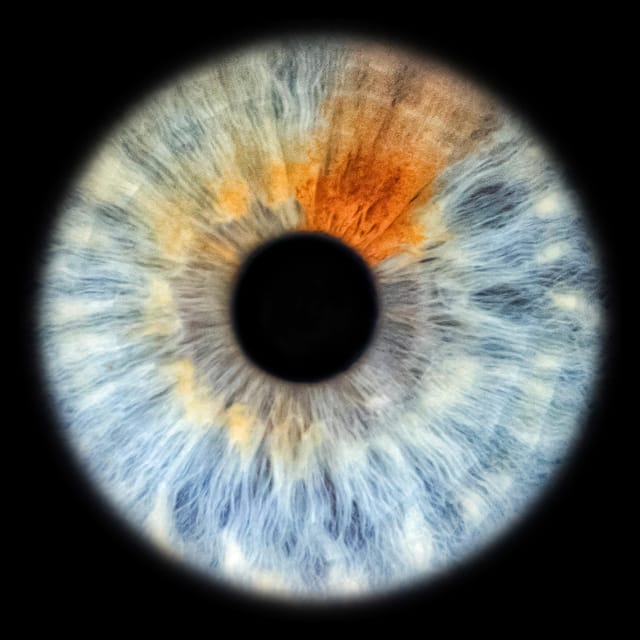 Siracusa Iris Photography Experience - The Iris Photo Shoot in the Center of Syracuse
