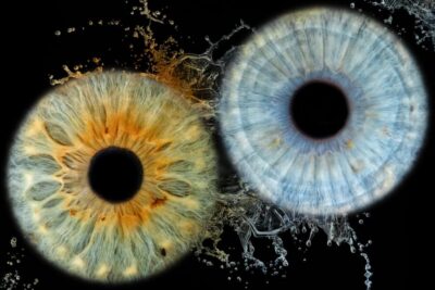Siracusa Iris Photography Experience - Editing Your Iris Photo Into a Finished Piece