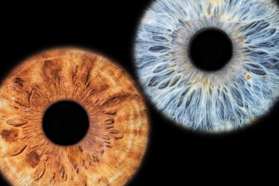 Siracusa Iris Photography Experience - Who This Works Best For