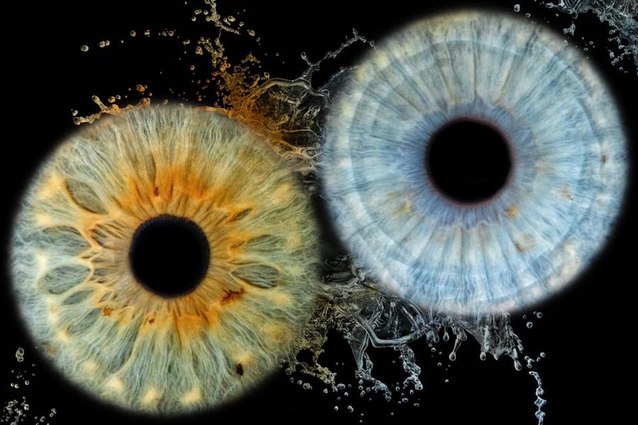 Siracusa Iris Photography Experience - Editing Your Iris Photo Into a Finished Piece