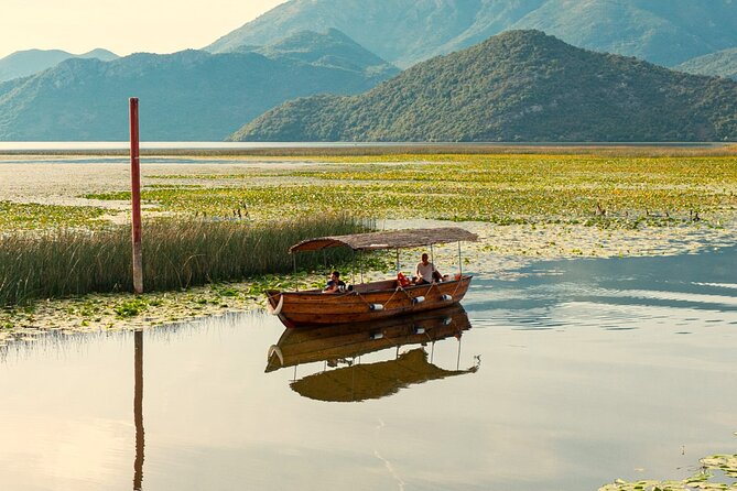 Skadar Lake National Park: Birdwatching & Photography Tour - The stop-and-watch rhythm: National Park time and wildlife viewing anchors