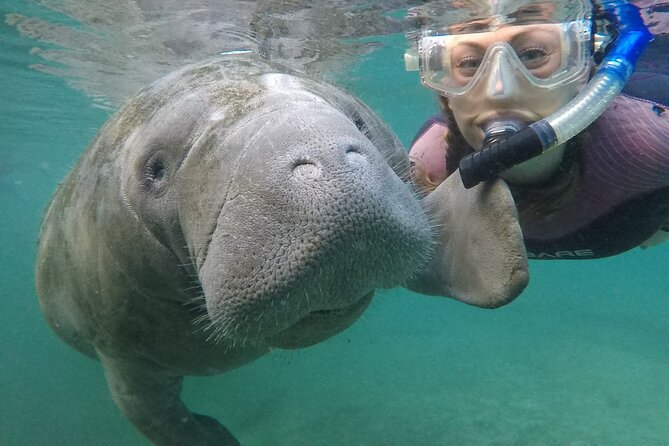 Small Group Manatee Snorkel Tour with In-Water Guide and Photographer - First Stop: Check-In, Wetsuits, and the Rules for Sharing Water