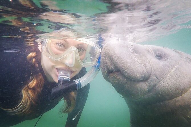 Small Group Manatee Snorkel Tour with In-Water Guide and Photographer - Swimming Time With Manatees: What Close Encounters Really Mean