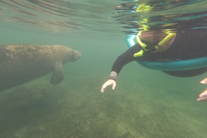 Small Group Manatee Snorkel Tour with In-Water Guide and Photographer - Value and Price: Why $89.99 Can Be a Smart Spend
