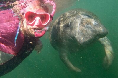 Small Group Manatee Snorkel Tour with In-Water Guide and Photographer - The Photographer Factor: How You Get Photos Without Turning It Into Work