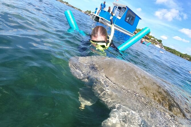 Small Group Manatee Snorkel Tour with In-Water Guide and Photographer - Manatee Location and Water Clarity: The Day’s Weather Reality
