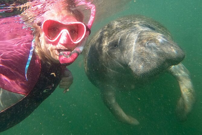 Small Group Manatee Snorkel Tour with In-Water Guide and Photographer - The Photographer Factor: How You Get Photos Without Turning It Into Work