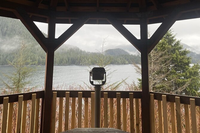 Small-Group Scenic Tour | SITKA SIGHTSEEING - When Weather Changes the View (and What You Can Control)