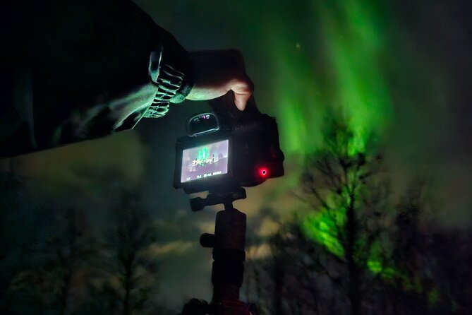 Small Northern Lights Tour Max 8 Guests Pickup and Photography - Campfire comfort: hot chocolate, corn, and marshmallows