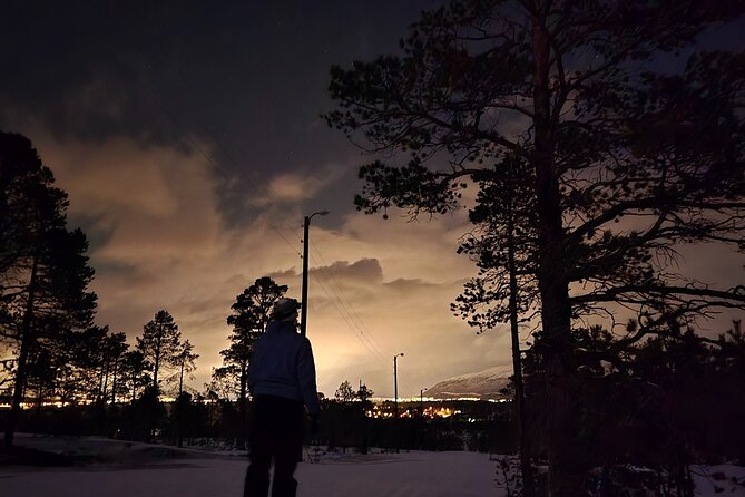 Starlit Adventure Tour in Tromsø – With Professional Photographer - How Good Weather (and Cloud Cover) Affects Your Odds