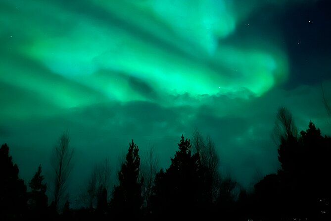 Starlit Adventure Tour in Tromsø – With Professional Photographer - What the Pro Photographer Changes (Beyond Better Photos)