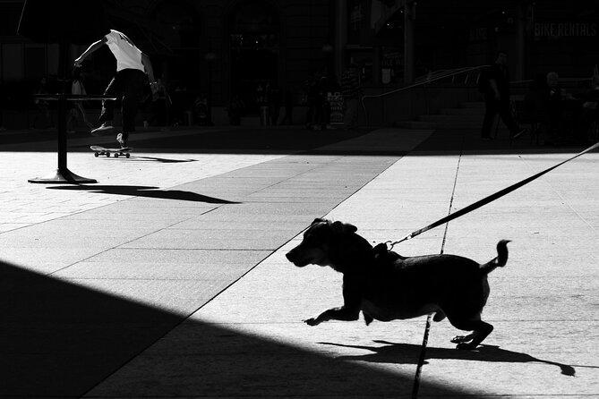 Street Photography Workshops in London - Your Workshop Day: How the Shooting + Critique Loop Actually Works