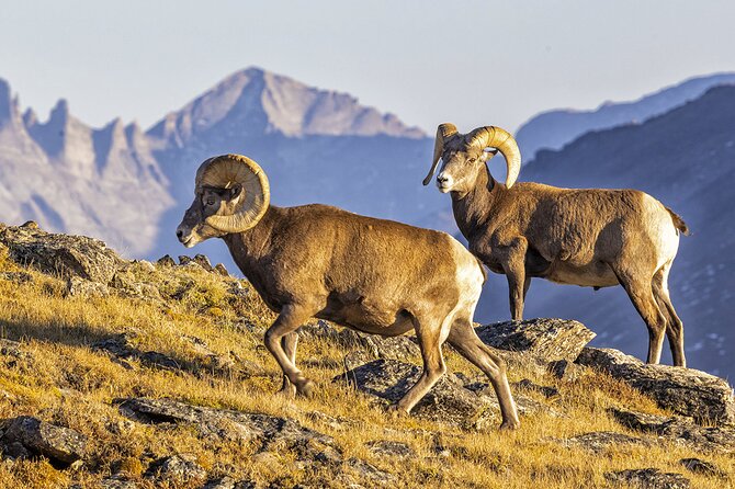 Sunset and Night Photography Tour on Trail Ridge Road - Trail Ridge Road at Sunset and Night: The Idea Behind the Tour