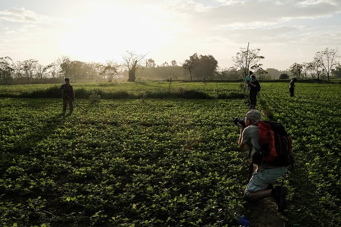 Sunset photo tour with the farmers - Who should book this sunset farmers photo tour