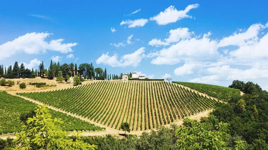 Terricciola Valdera E-Bike Tour + Wine Tasting, Photo Shoot - Your guide matters here: Dimitri/Dmytro and the well-being focus
