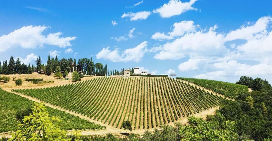Terricciola Valdera E-Bike Tour + Wine Tasting, Photo Shoot - Where Terricciola fits in the Tuscany picture