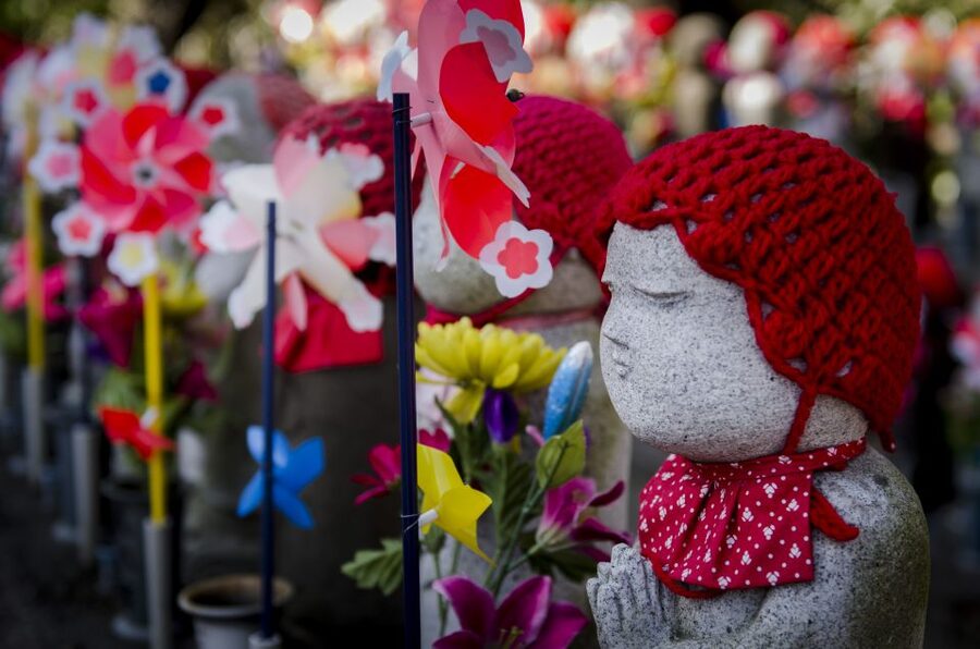 Tokyo: Photography Masterclass - Private Photo Lesson - Key things to know before you book
