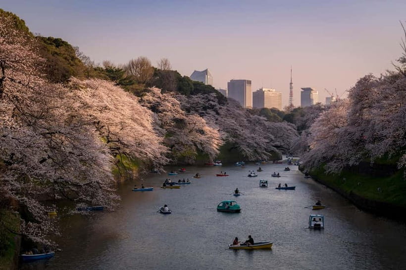 Tokyo: Photography Masterclass - Private Photo Lesson - Coffee first: how the tour gets your camera on the same page