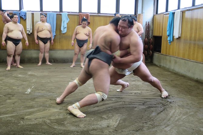 Tokyo Ryogoku Sumo Morning Practice + Photo Shoot with Wrestlers - Key highlights worth prioritizing