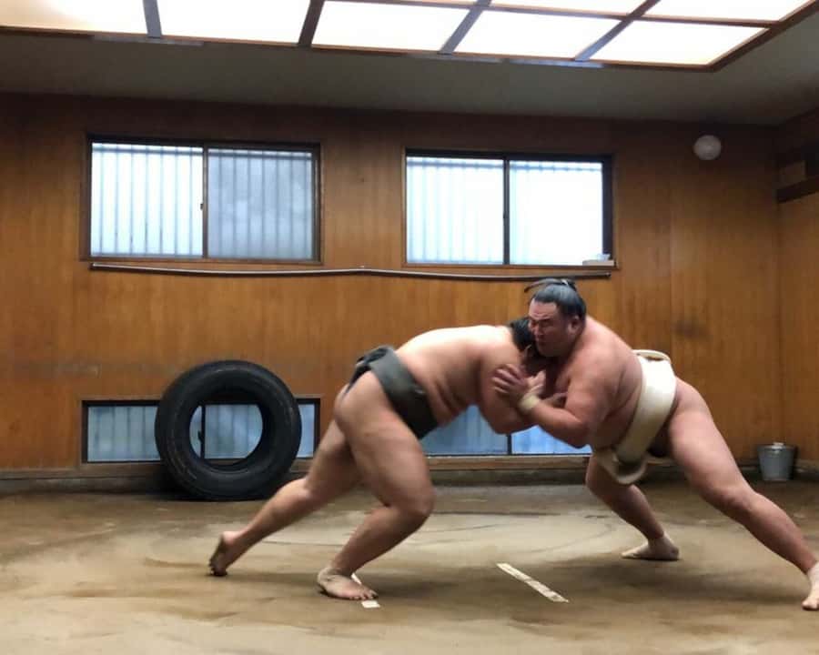 Tokyo: Sumo Morning Practice Tour in Ryogoku and Photo Shoot - Key things to know before you go