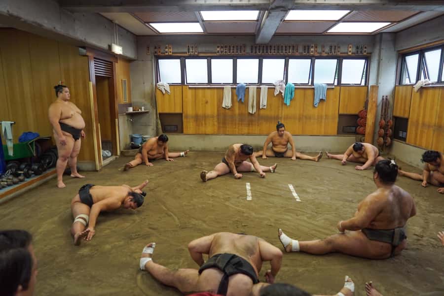 Tokyo: Sumo Morning Practice Tour in Ryogoku and Photo Shoot - Should you book it?